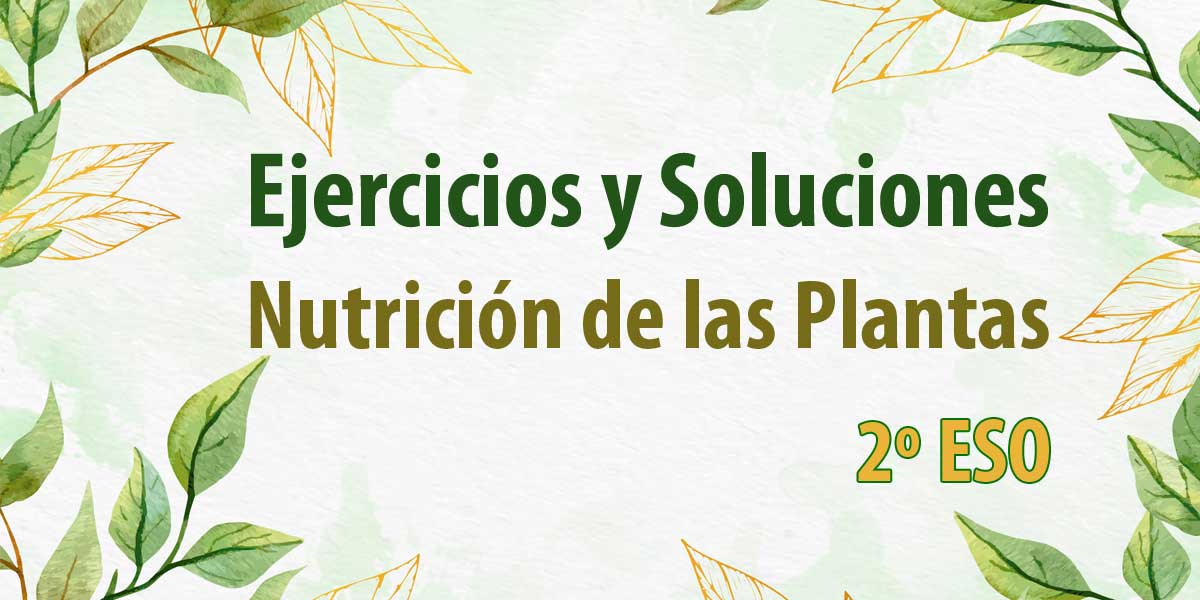 ejercicios y soluciones para descargar nutricion de las plantas 2 ESO