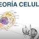 teoria cecular biologia 1 Eso