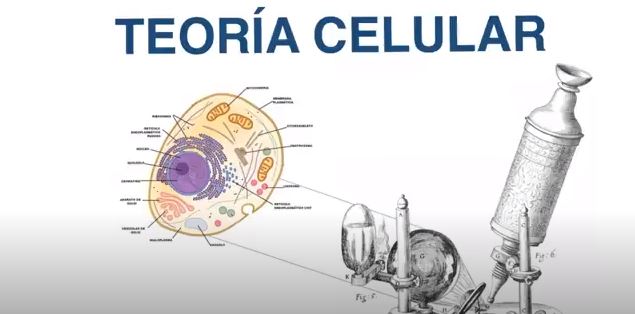 teoria cecular biologia 1 Eso