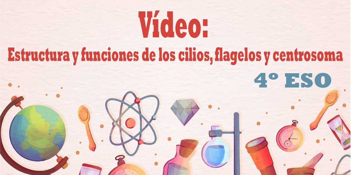 Vídeo Estructura y funciones de los cilios, flagelos y centrosoma 4 ESO