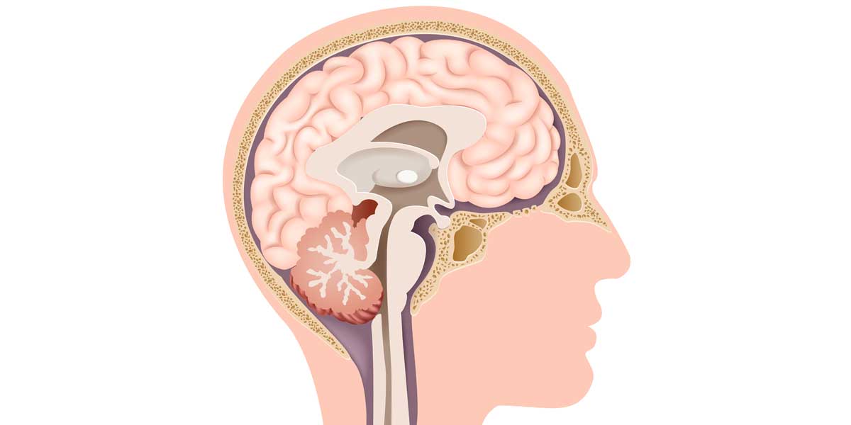 video El sistema endocrino y las hormonas 3 ESO