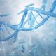 Genética Humana Vídeo con ejercicios prácticos de 4 de ESO