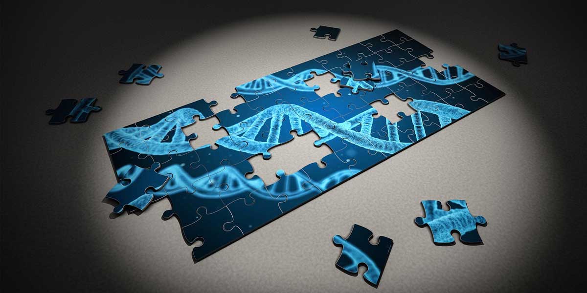 15 Problemas de Genética de 4º ESO para resolver