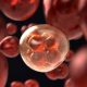 Vídeo: La meiosis y sus fases 4º ESO