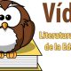 Literatura Española de la Edad Media asignatura lengua 3 eso