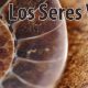 Los seres vivos tema 1 biologia secundaria
