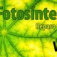 Repaso: LA FOTOSÍNTESIS 1º Biología