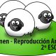 Resumen y apuntes sobre LA REPRODUCCIÓN DE LOS ANIMALES 2º ESO
