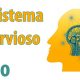 El Sistema Nervioso: Biología 3º ESO