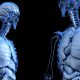 Vídeo Repaso de clase: Niveles de organización del cuerpo humano 3º ESO